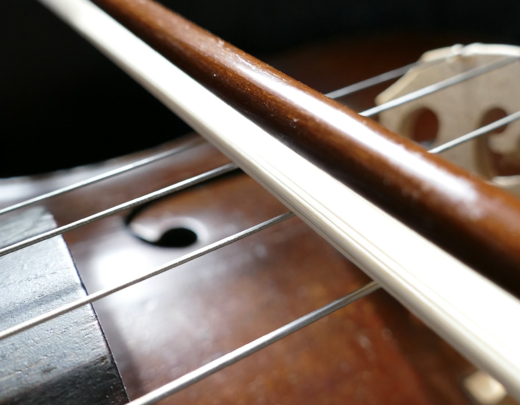 Milica Mima Jovanovic Cello Piano Violin and Guitar Professor offering the best  private online live one on one classes