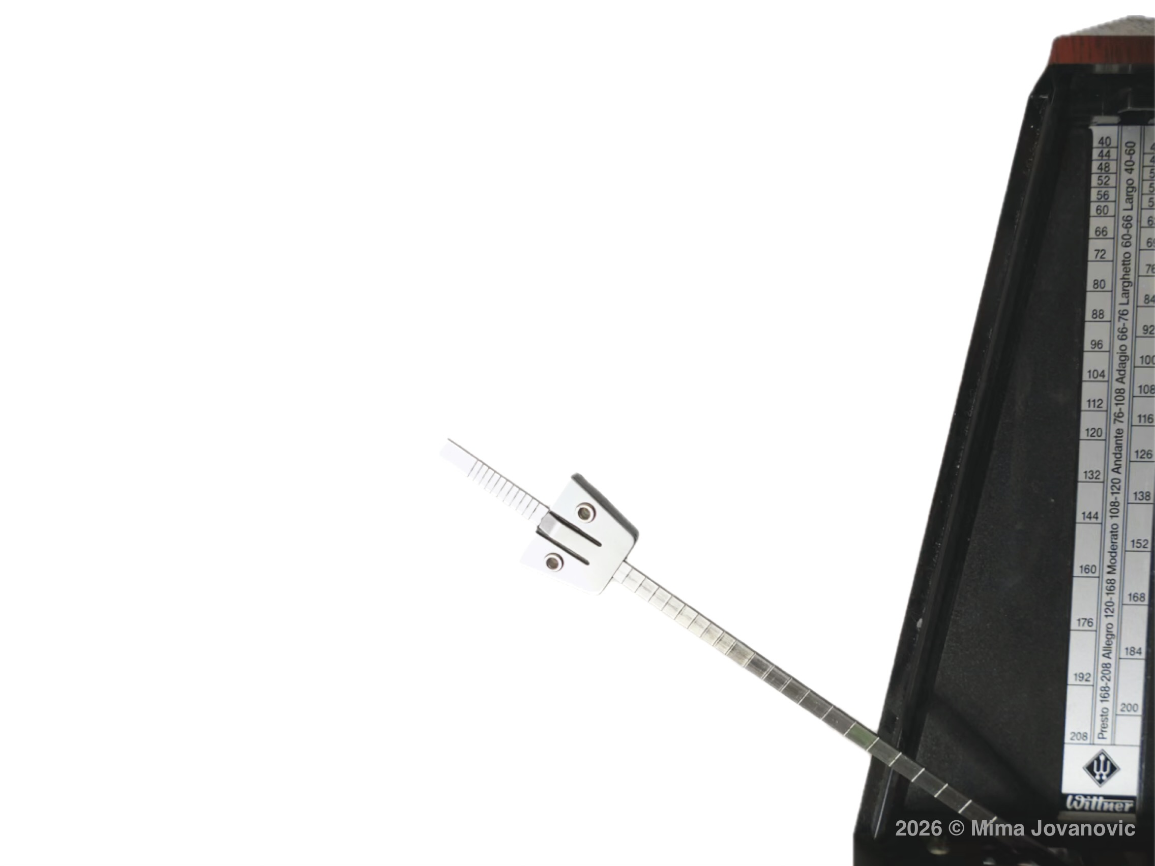 Milica Mima Jovanovic Cello Piano Violin and Guitar Professor offering the best  private online live one on one classes